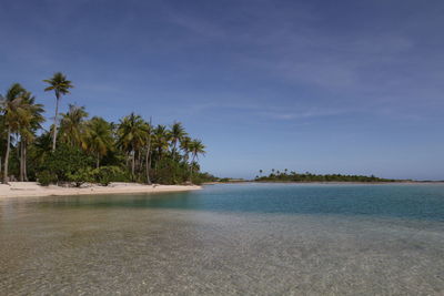 Scenic view of beach against blue sky