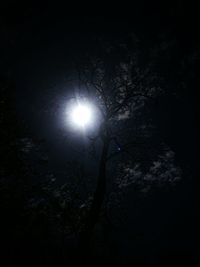 Low angle view of silhouette tree against sky