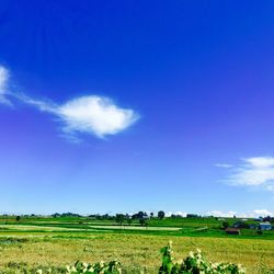 Scenic view of field against cloudy sky