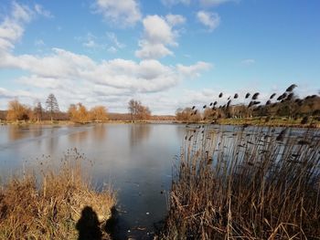 Scenic view of lake against sky