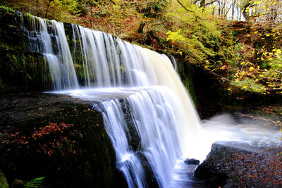 Scenic view of waterfall in forest
