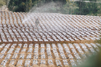 High angle view of roof tiles