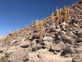 Low angle view of rock formations against clear blue sky