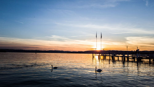 Silhouette swans swimming in lake against sky during sunset