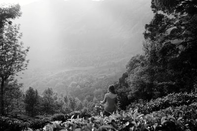 Rear view of woman looking at forest