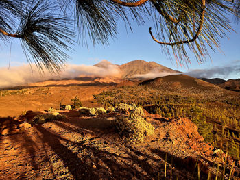 Scenic view of desert against sky