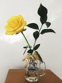 Close-up of rose plant in vase on table