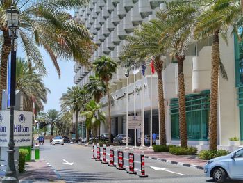 Road by palm trees and buildings in city