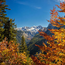 Trees on mountain against sky during autumn