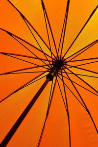 Directly below shot of orange flower against sky during sunset