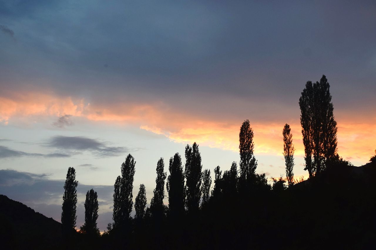 silhouette, sunset, sky, tree, beauty in nature, low angle view, tranquility, nature, scenics, orange color, tranquil scene, growth, cloud - sky, idyllic, dusk, outdoors, cloud, no people, outline, dramatic sky