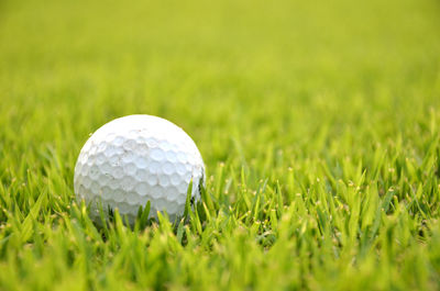 Close-up of golf ball on field