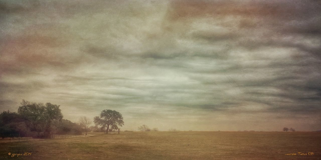 tranquil scene, sky, tranquility, scenics, beauty in nature, cloud - sky, landscape, field, nature, cloudy, tree, weather, overcast, idyllic, non-urban scene, cloud, dusk, grass, outdoors, silhouette