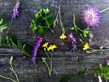 Directly above shot of flowers and leaves on table