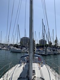 Sailboats moored in harbor against sky