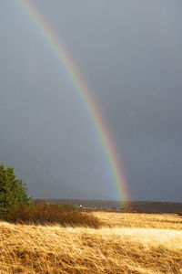 Scenic view of rainbow against sky