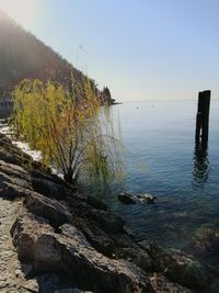 Scenic view of sea against clear sky