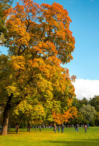 People in park during autumn against sky