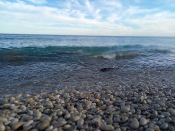 Mediterranean sea waves