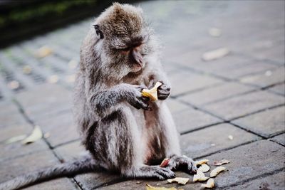 Young man eating food