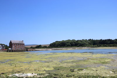 Scenic view of sea against clear blue sky