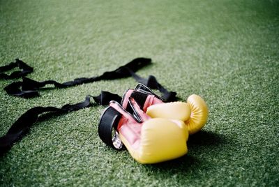 High angle view of toy on grass