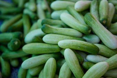 Pile of fresh cucumber