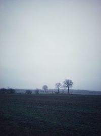 Trees on field against sky