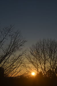 Silhouette bare tree against sky during sunset