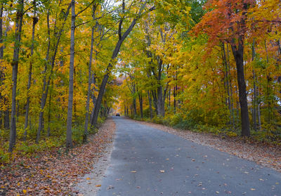 Road amidst trees in forest during autumn