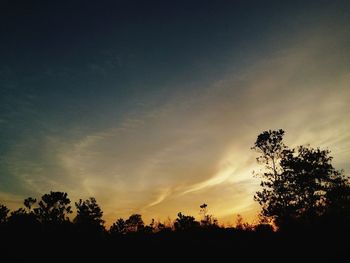 Silhouette of trees at sunset