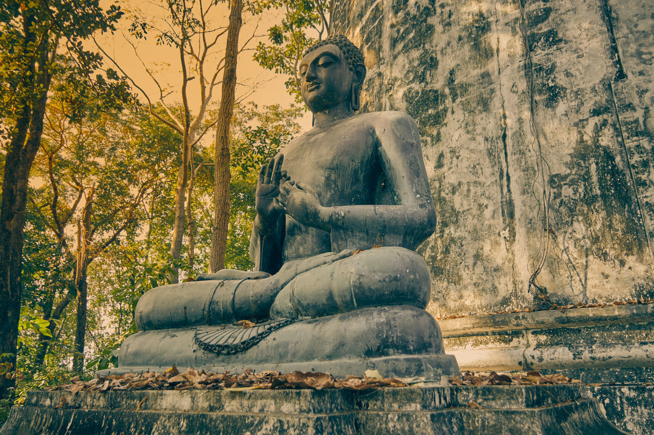 LOW ANGLE VIEW OF STATUE AGAINST TREES