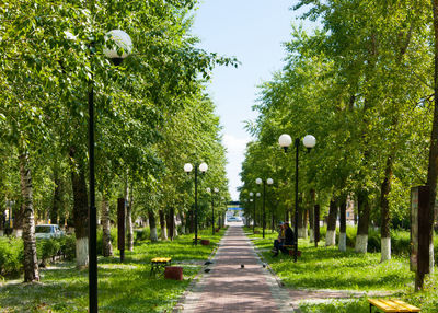 Footpath amidst trees in park