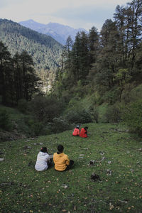 Rear view of hikers relaxing on grassy field against trees