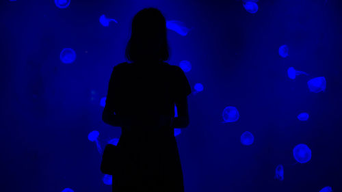 Silhouette woman standing in aquarium
