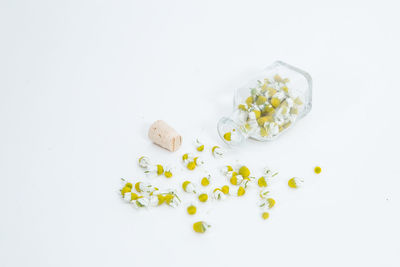 High angle view of white flowering plant