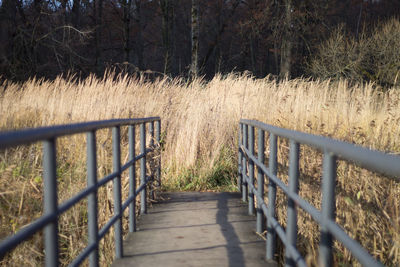 View of trees on landscape