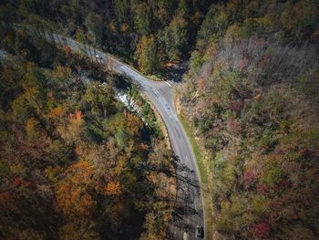 High angle view of road amidst autumn trees