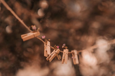 Close-up of toy flying