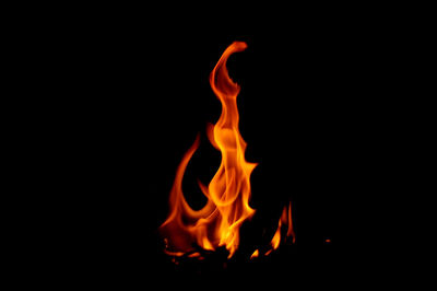 Close-up of fire