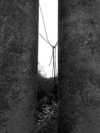 Plants growing on old land against sky