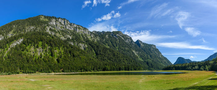 Panoramic shot of trees and mountains against sky