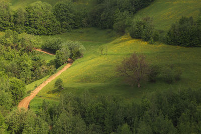 High angle view of field