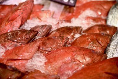 Close-up of fresh fish on ice for sale in market