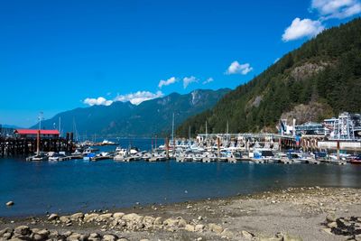 Sailboats moored at harbor against blue sky