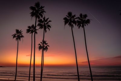 Silhouette palm trees on beach against sky during sunset