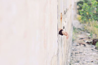 Side view of young man on wall