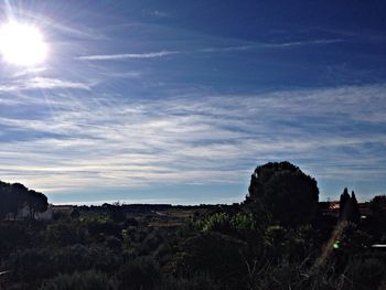 Scenic view of landscape against cloudy sky