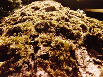 Close up of stone wall