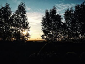 Silhouette trees on field against sky at sunset